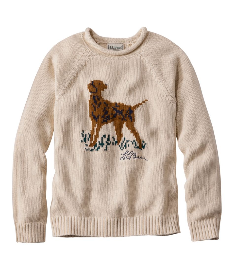 Kids' Cotton Rollneck Sweater / L.L.Bean