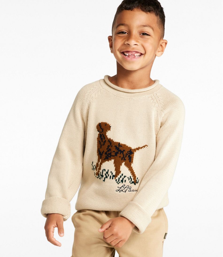 Kids' Cotton Rollneck Sweater / L.L.Bean