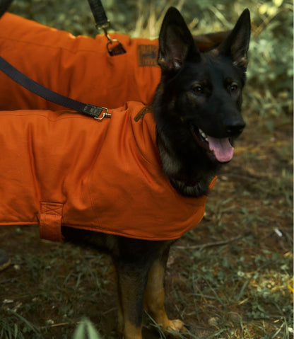 & Noah Kahan Reversible Field Coat for Dogs / L.L.Bean
