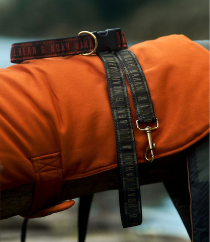 & Noah Kahan Novelty Dog Leash / L.L.Bean