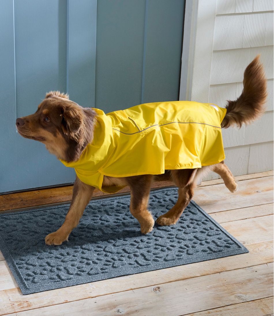 Discovery Dog Rain Jacket / L.L.Bean