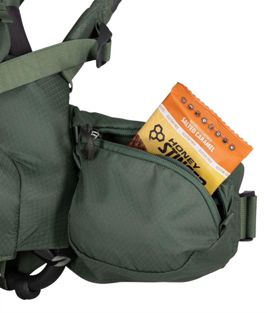 Osprey Poco Premium Child Carrier Backpack / L.L.Bean