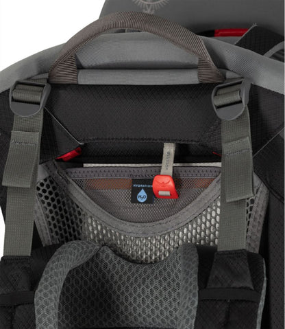 Osprey Poco Child Carrier Backpack / L.L.Bean