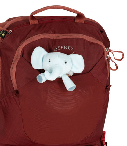 Osprey Poco LT Child Carrier Backpack / L.L.Bean
