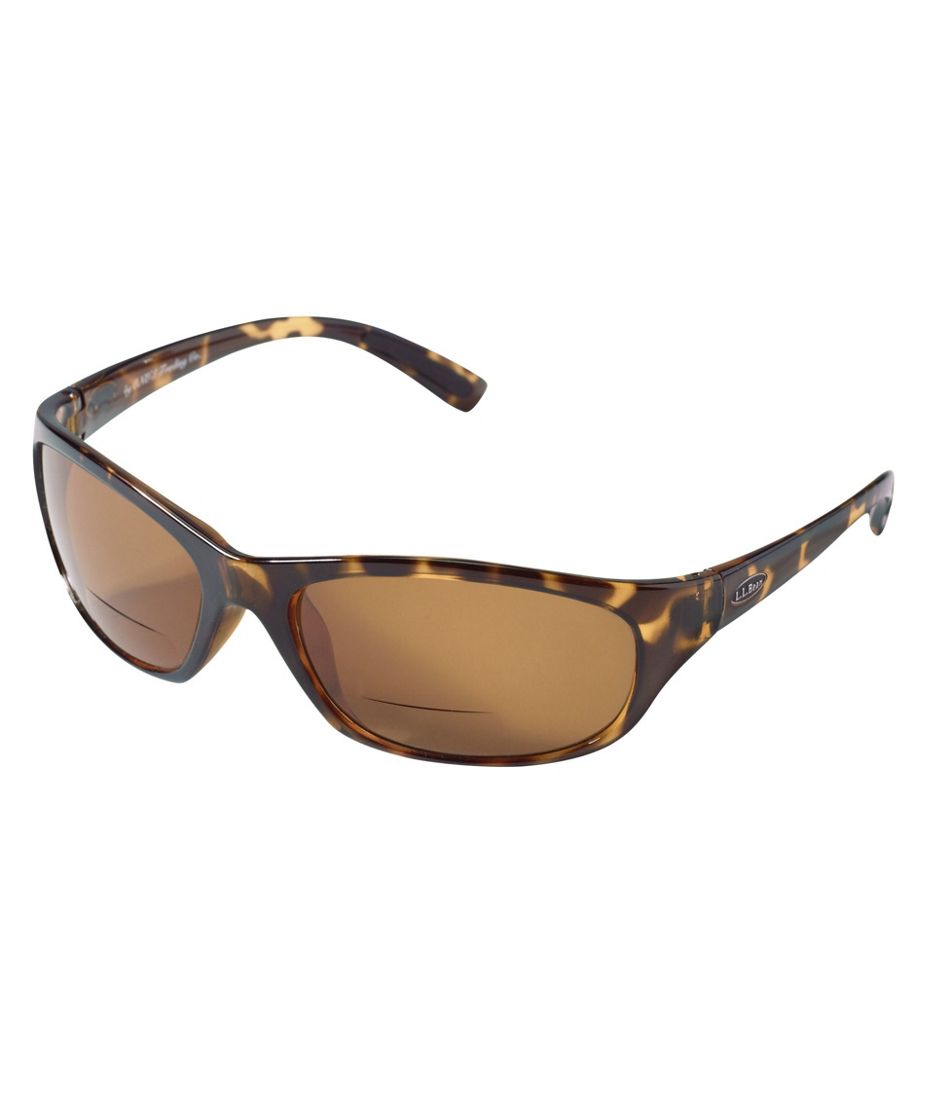 Polarized Performance Bifocals, Large / L.L.Bean