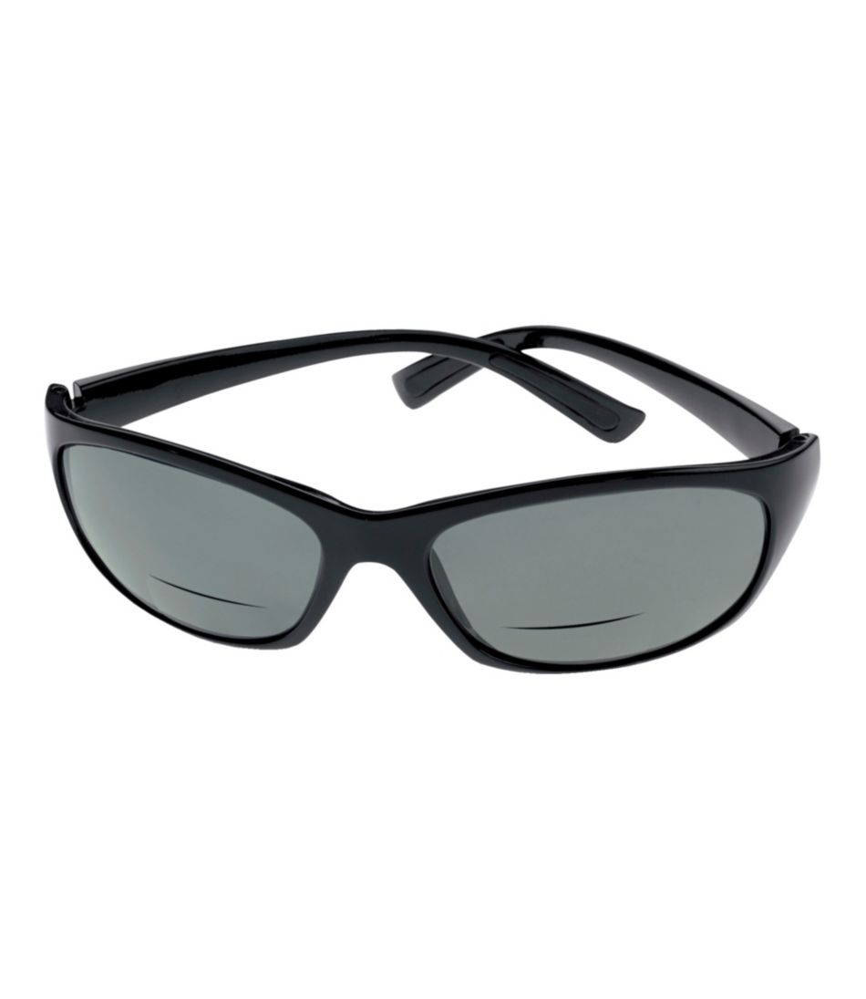 Polarized Performance Bifocals, Large / L.L.Bean