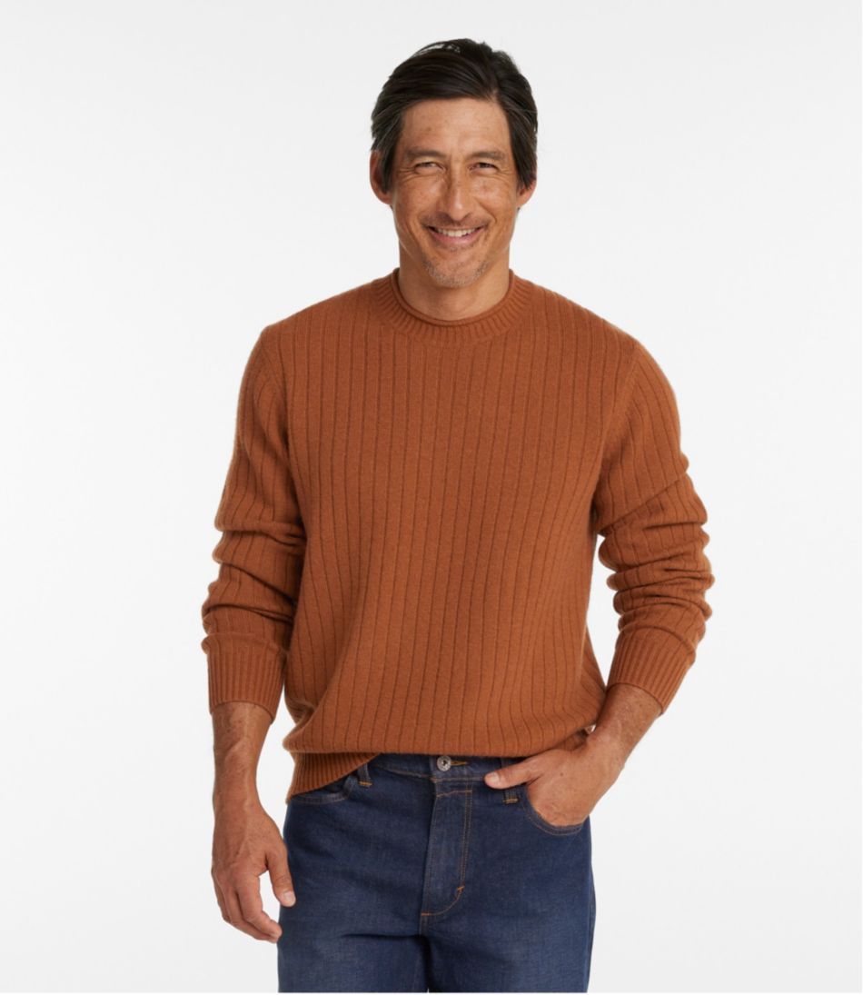 Men's Bean's Ultrasoft Wool Rollneck Sweater / L.L.Bean