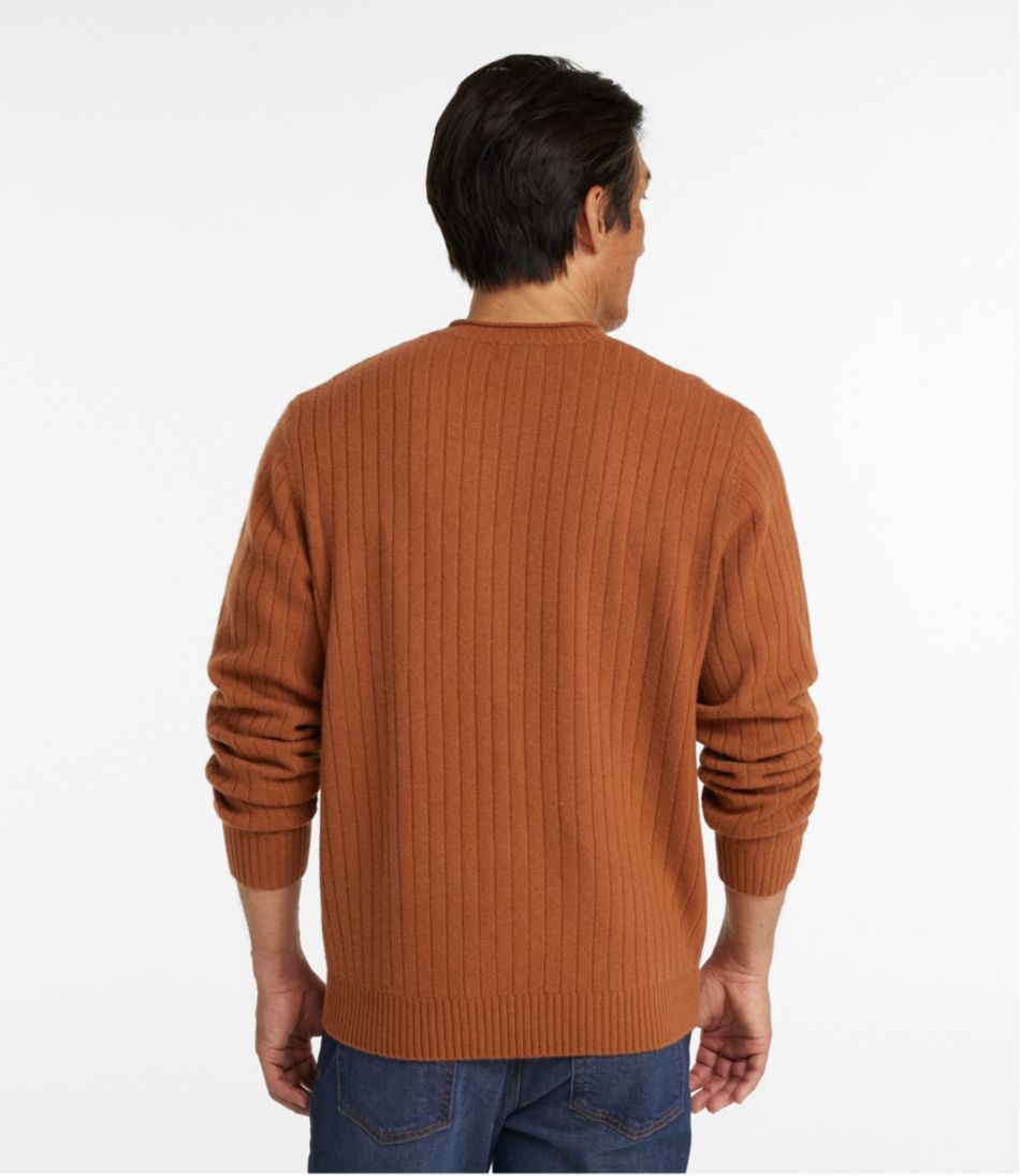 Men's Bean's Ultrasoft Wool Rollneck Sweater / L.L.Bean