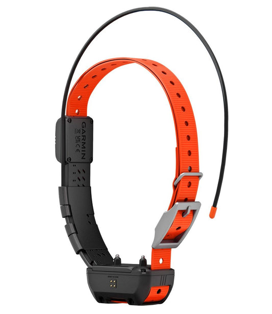 Garmin Alpha TT25 Dog Collar / L.L.Bean