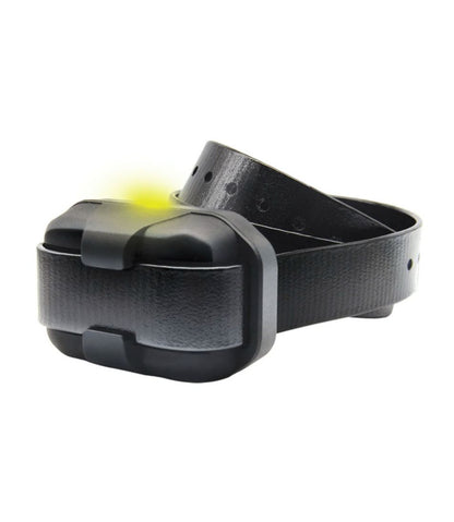 Dogtra 280-X Remote Dog Training Collar / L.L.Bean