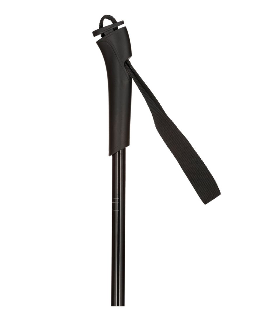 Rossignol FT500 Cross-Country Touring Ski Poles / L.L.Bean