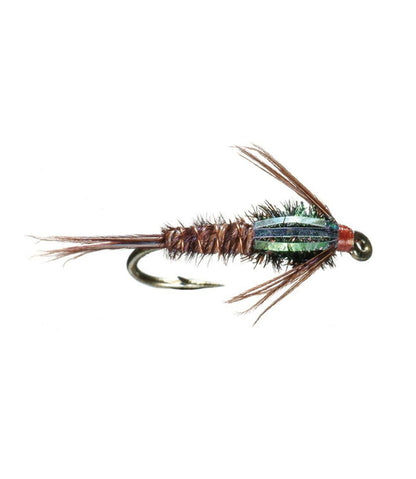 Flashback Pheasant Tail, 2-Pack / L.L.Bean