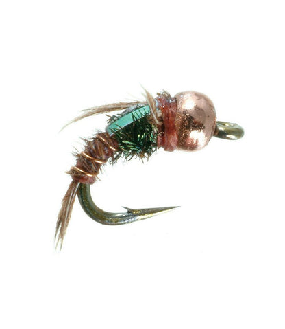 Quasimodo Pheasant Tail, 2-Pack / L.L.Bean