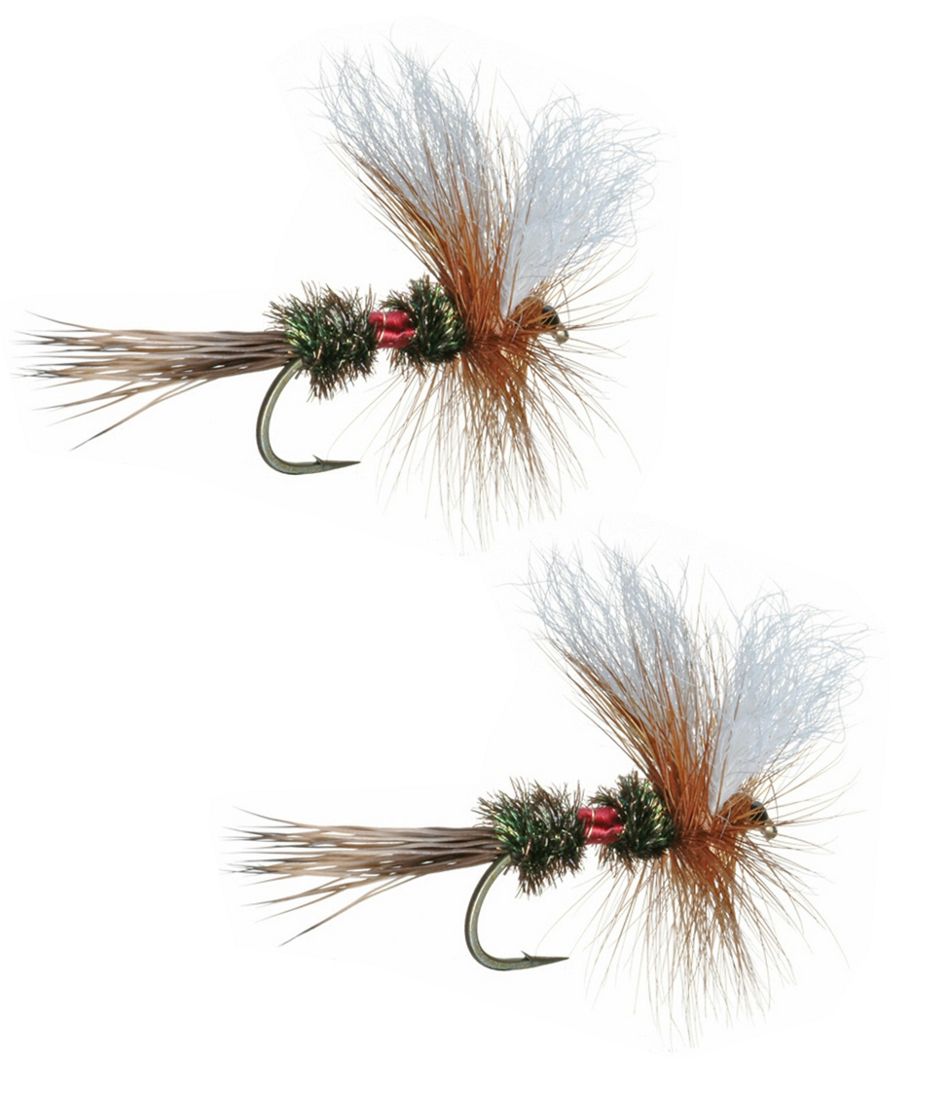 Royal Wulff, 2-Pack / L.L.Bean