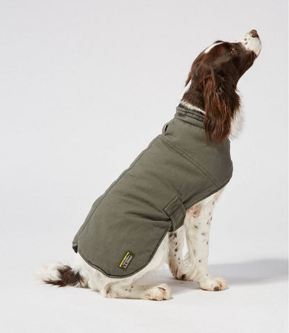 Reversible Field Coat for Dogs / L.L.Bean
