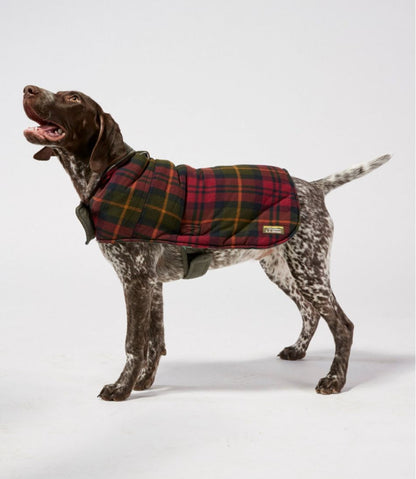 Reversible Field Coat for Dogs / L.L.Bean