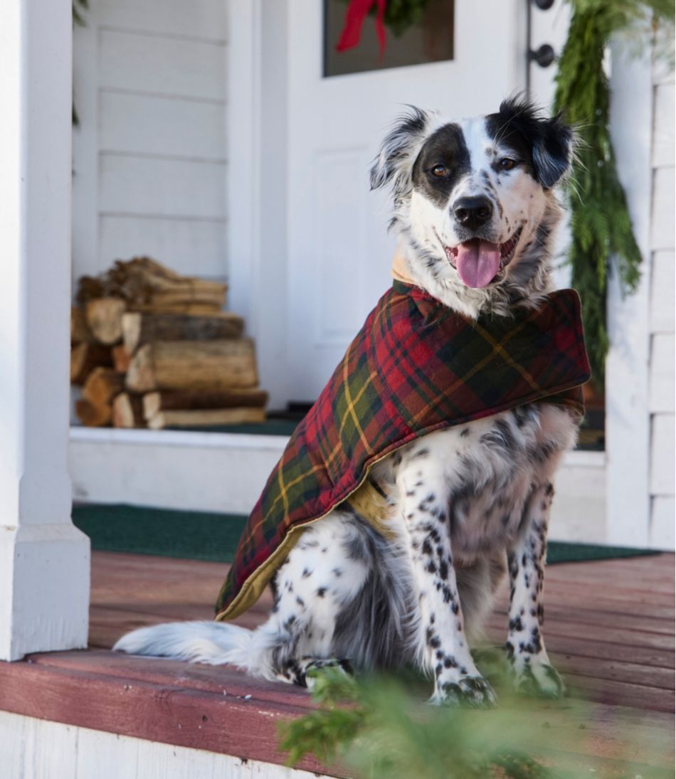 Reversible Field Coat for Dogs / L.L.Bean