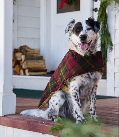 Reversible Field Coat for Dogs / L.L.Bean