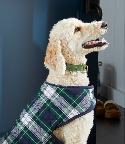 Novelty Dog Collar / L.L.Bean