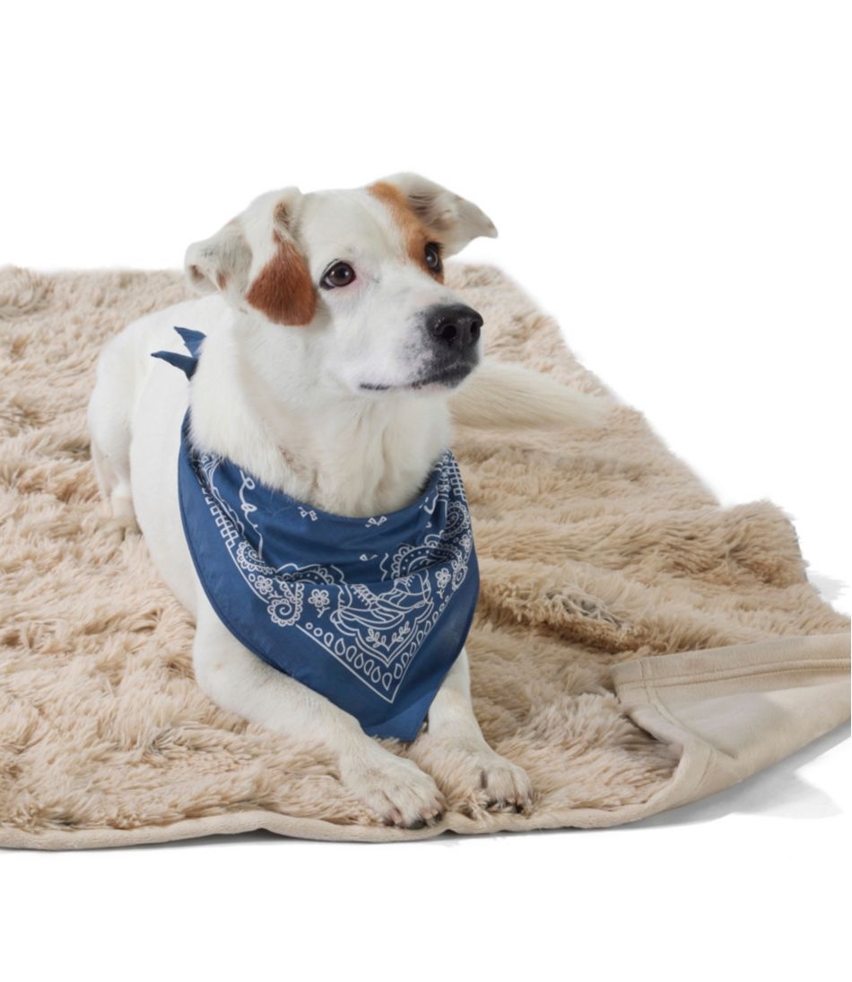 Plush Cuddler Dog Blanket / L.L.Bean