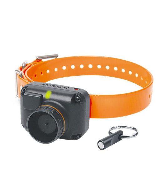 Dogtra STB Beeper Collar / L.L.Bean
