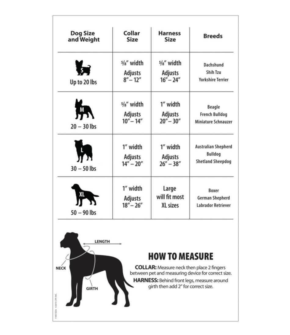 Personalized Pet Collar / L.L.Bean